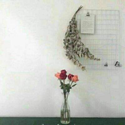 时代战争2中文破解版下载