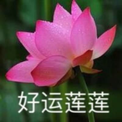 冰火王爵复仇手游官方